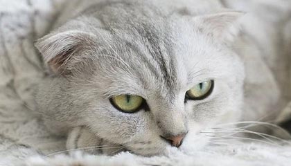 开云体育入口：开启你的专属体育新世界